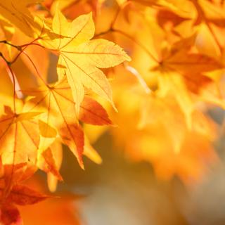 DZIEŃ EDUKACJI NARODOWEJ 2025